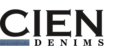 CIEN Logo