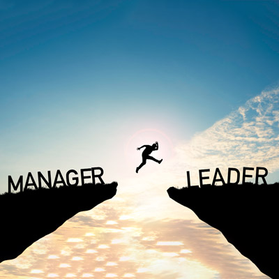 Leadership Insights