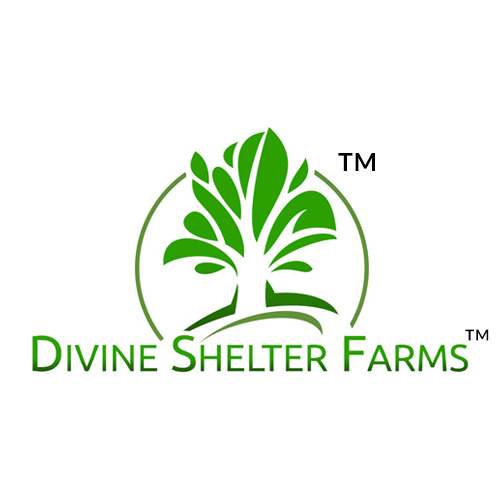 Divine Shelter Farms<sup>TM</sup>