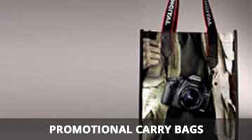 carry bags online